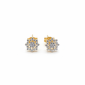 Snowflake Stud Earrings